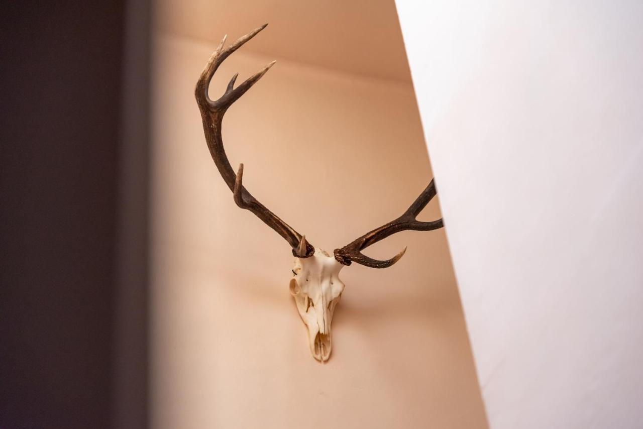 Hotel Le Cor De Chasse Saint-Hubert Exteriér fotografie